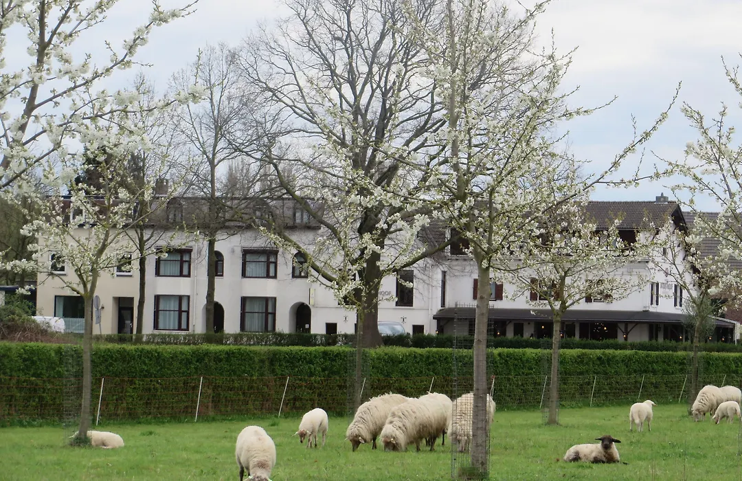Hotel Restaurant in den Hoof-1