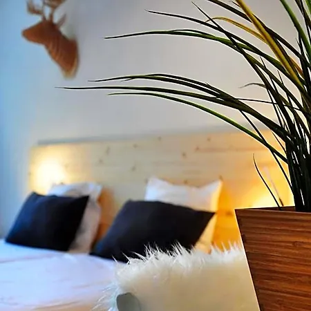 Hotel Beez-3